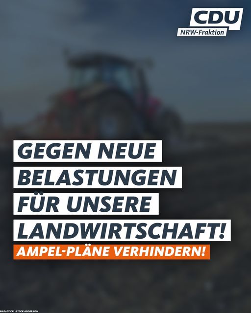 Die Ampel will die Landwirte beim Agrardiesel und durch die Streichung der grün...