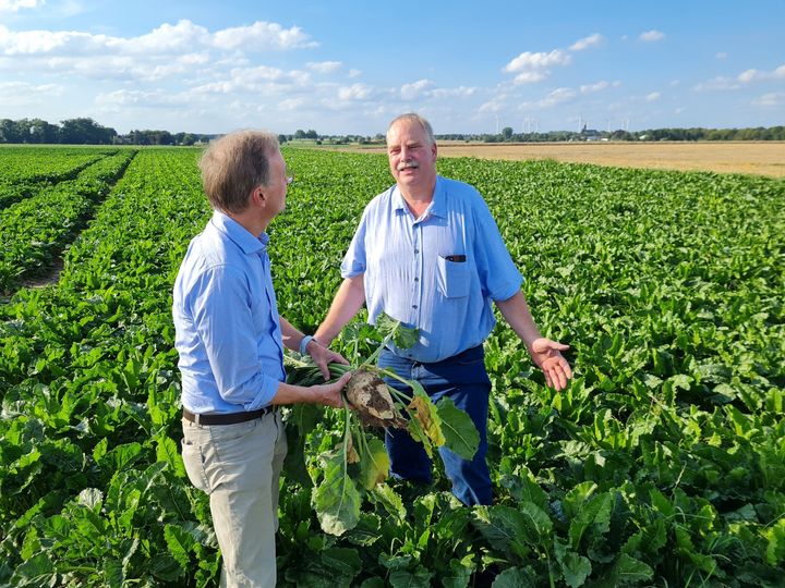 Die Bundesregierung hat offensichtlich kein Interesse an einer funktionierenden...